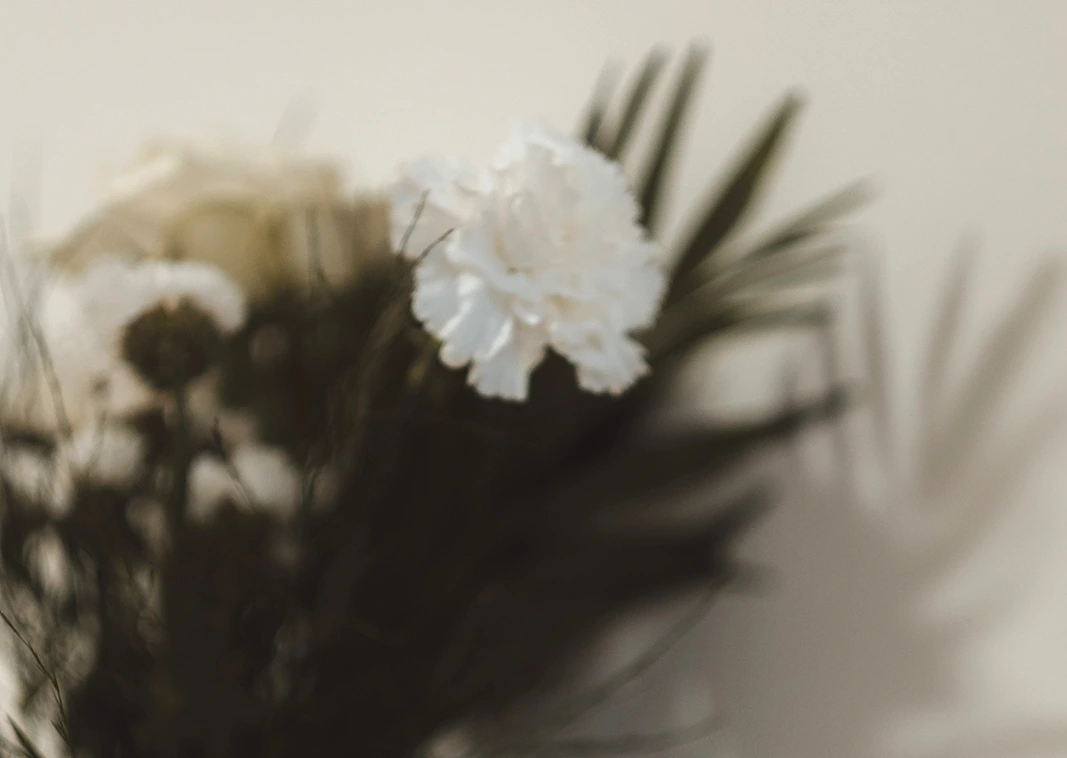 Cabecera-Orquídeas-y-las-identidades-divergentes