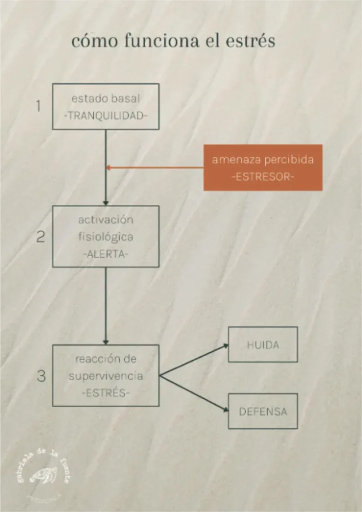 Ficha post estrés