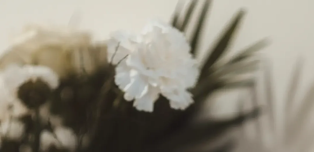 Las orquídeas y las identidades divergentes